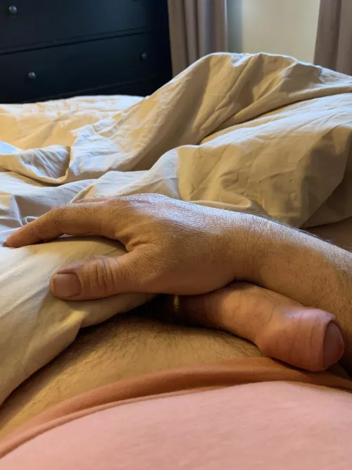 Morning glory on my day off