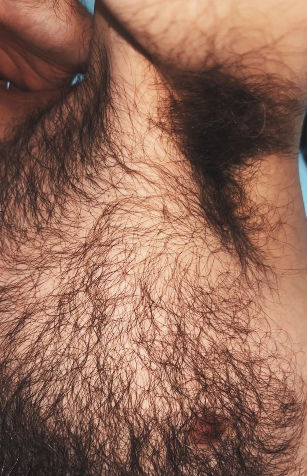 My furry pits & tits are ripe this morning. One sniff and you'd never recover...