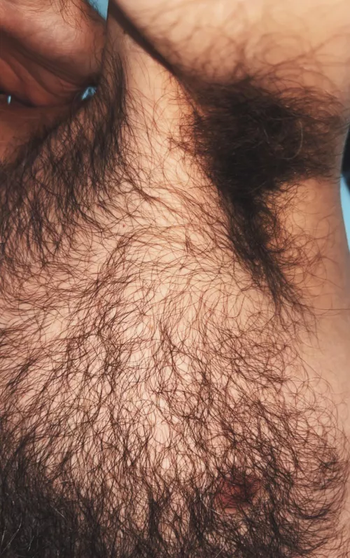 My furry pits & tits are ripe this morning. One sniff and you'd never recover...