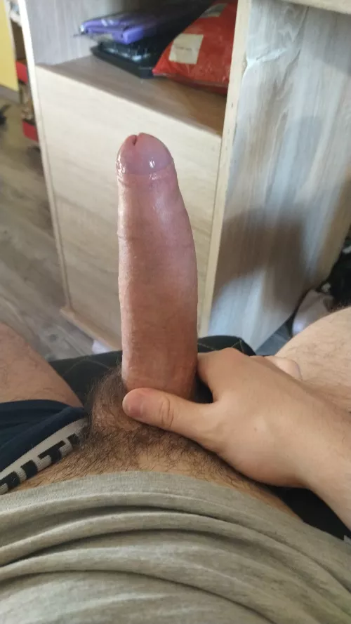 need a blowjob