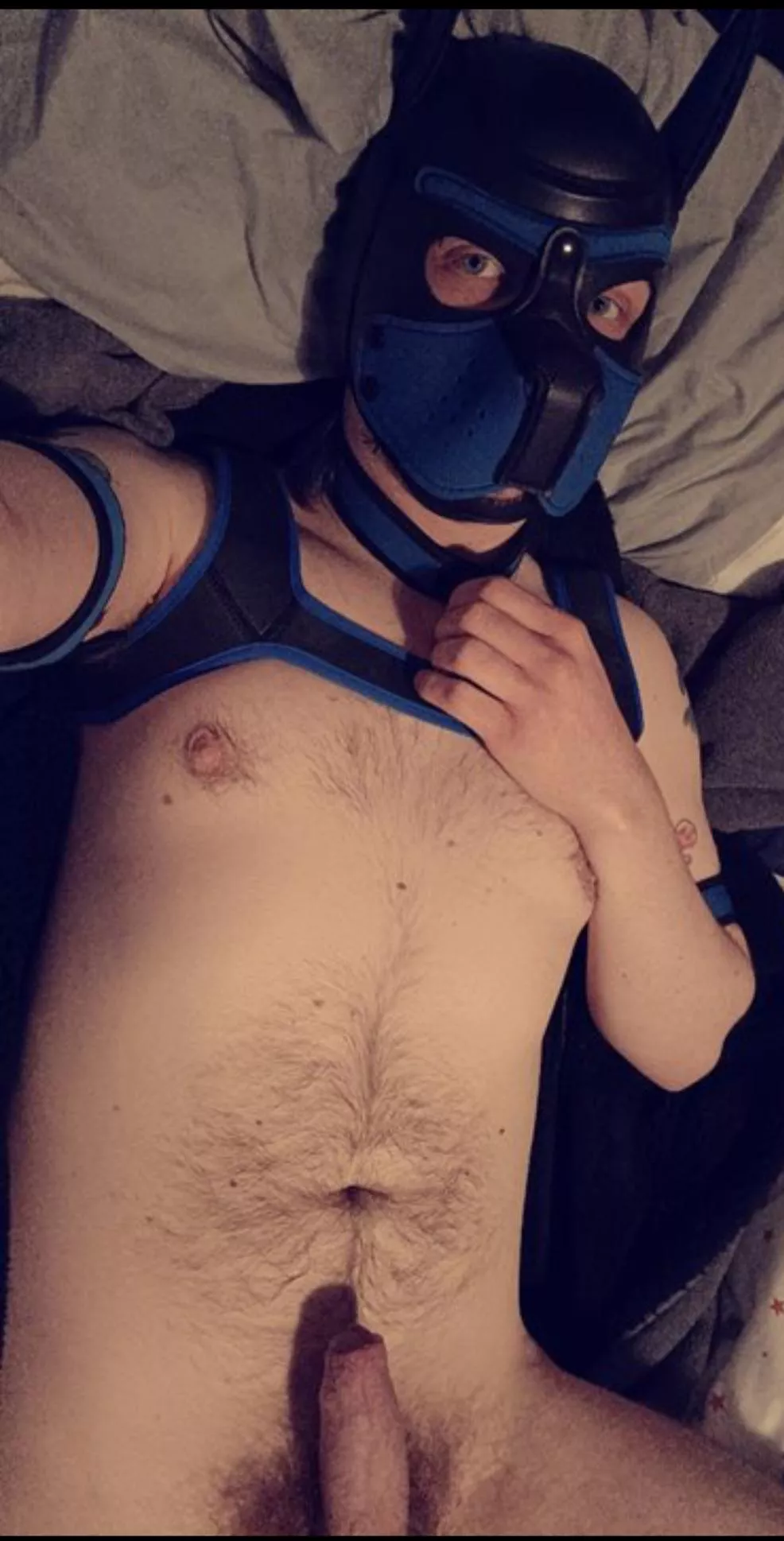 New pup, glad to be here