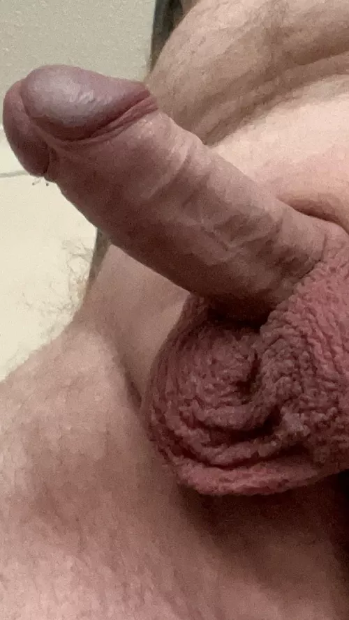 Perfect view for you