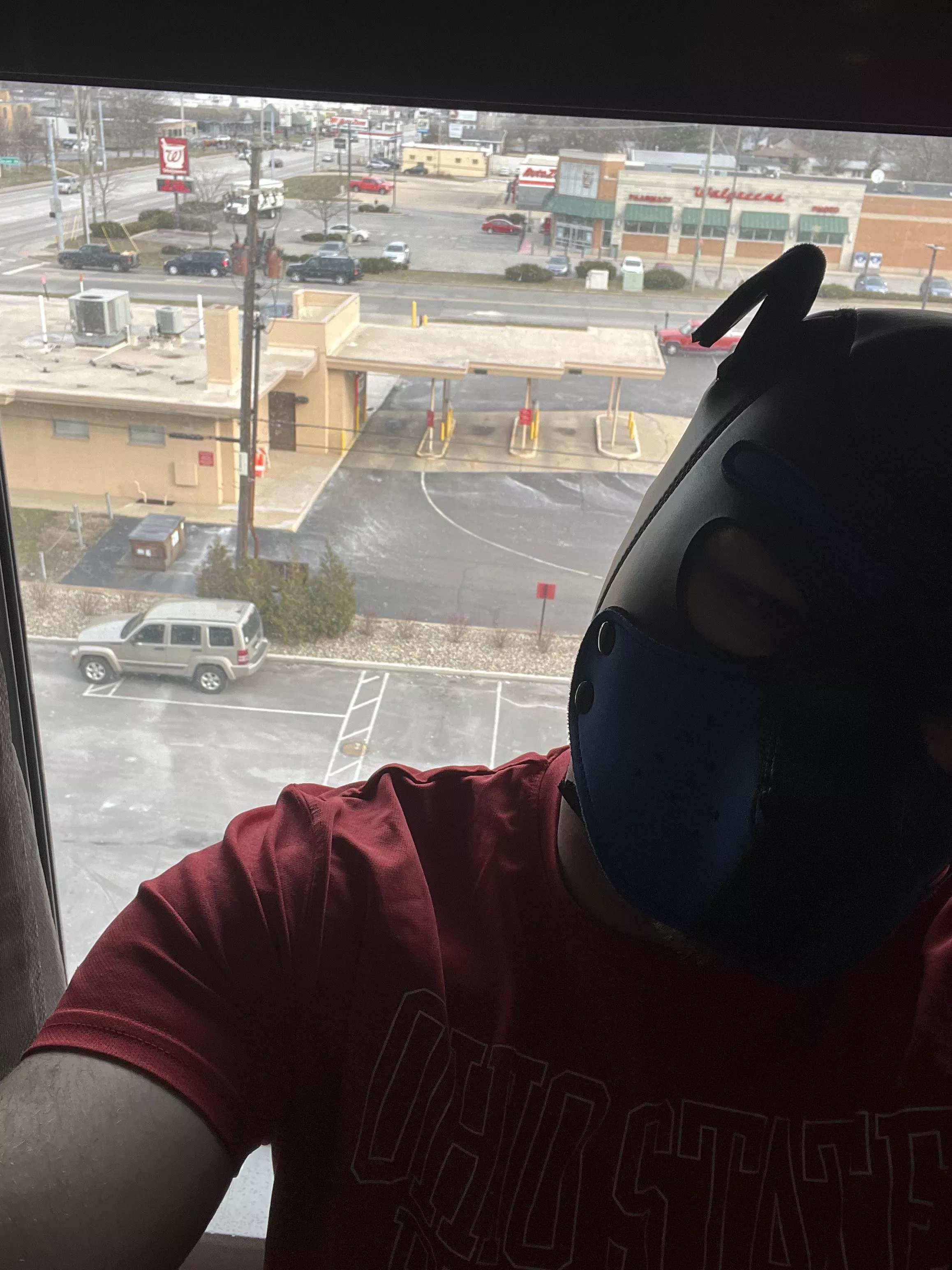 Pup exited to be in a hotel room 🐶