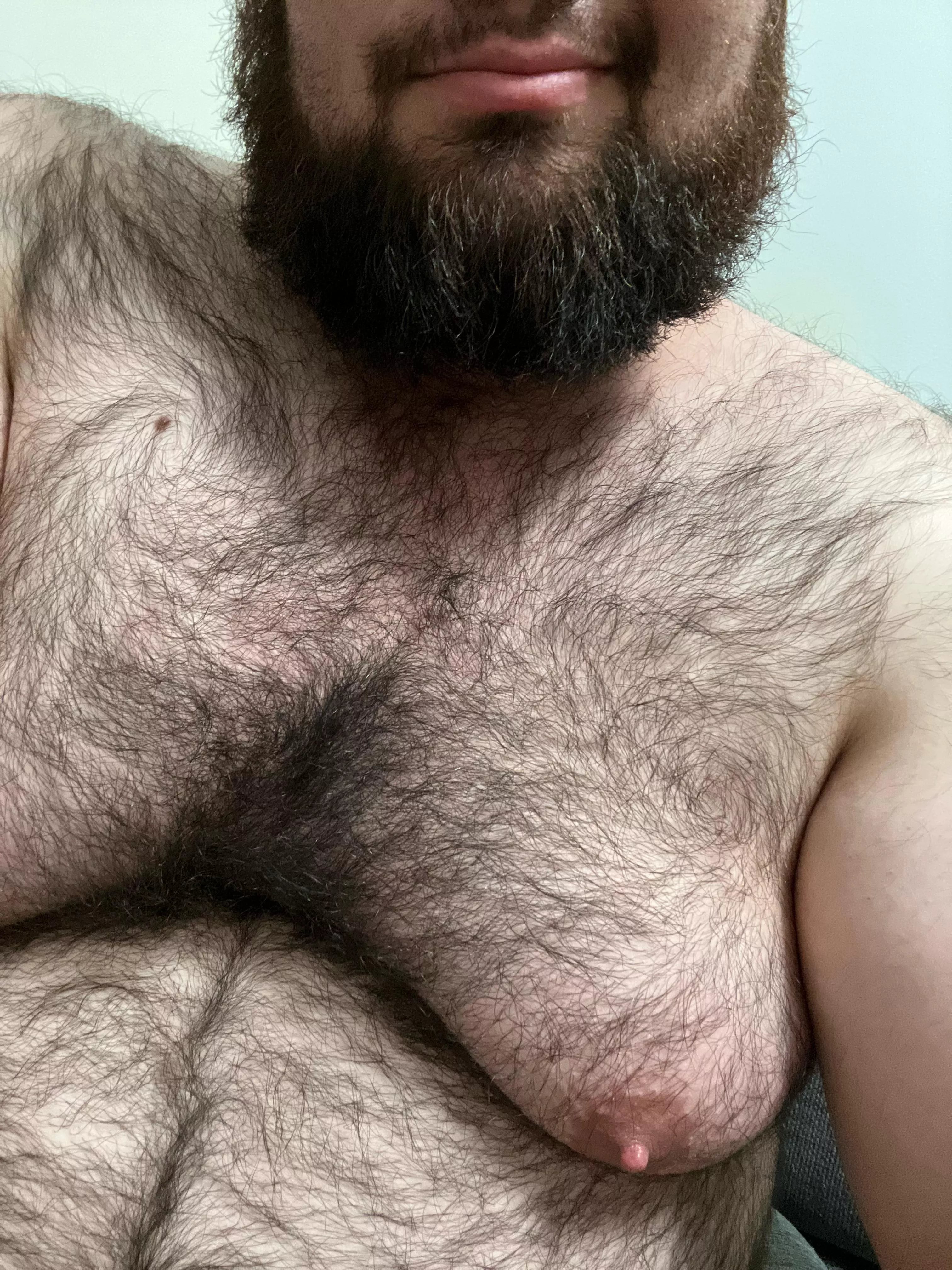 Seems people like chest hair they can actually run their fingers through when making out. Accurate?