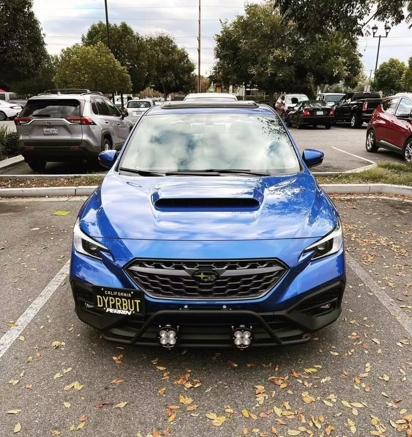 Spotted in another sub