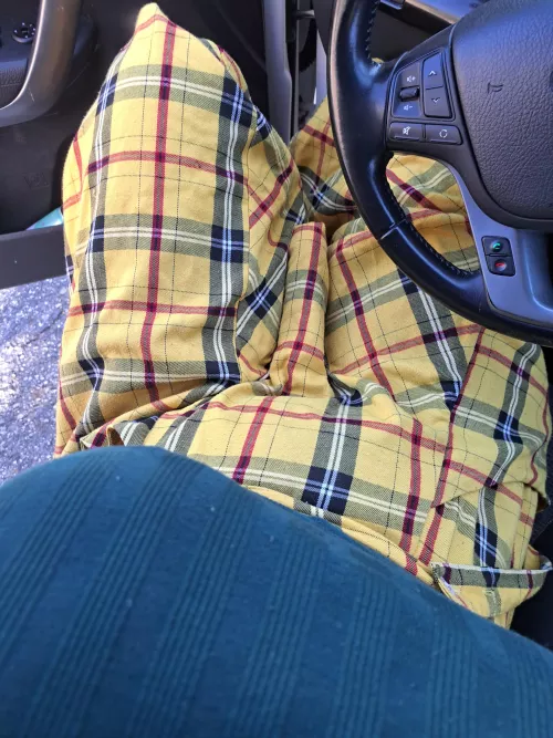 suck me while I drive