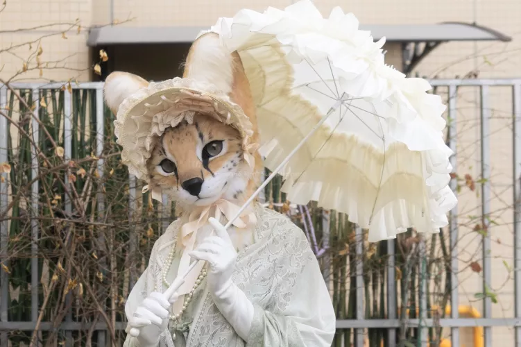 @WaldorfRinn on Twitter