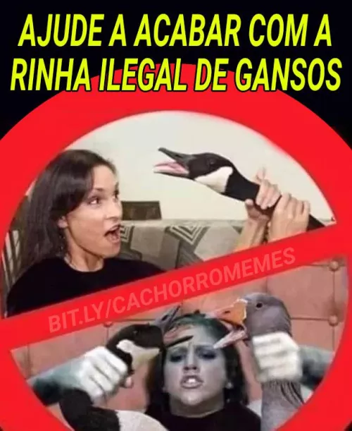 Who is on top of the image?