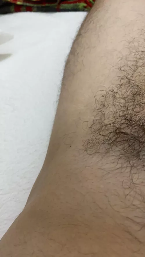 24 hmu hairy bored2425