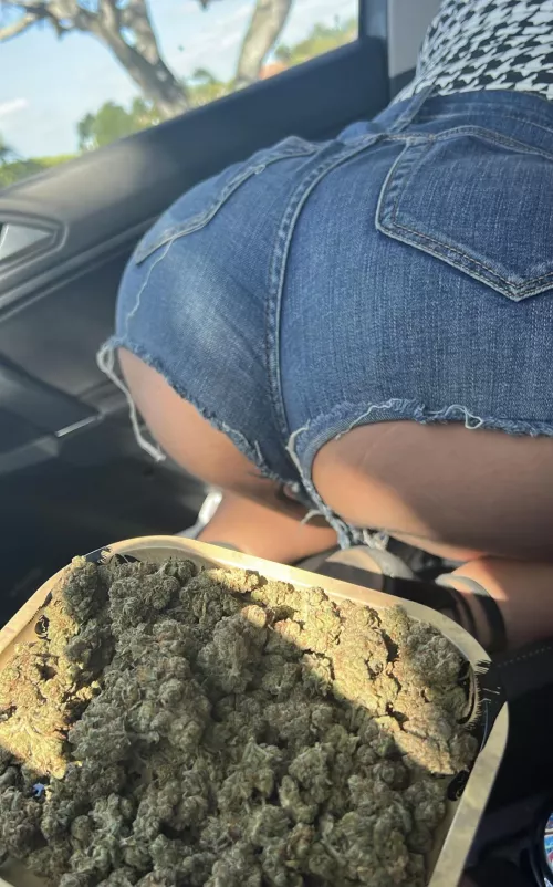 Ass (f)or grass