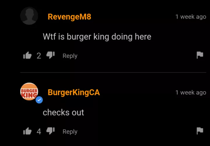 Burger King Sus