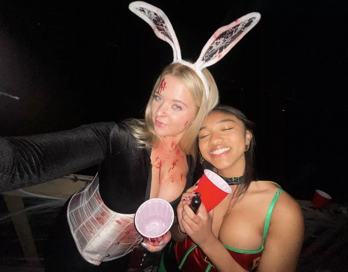 college killer bunny and robin