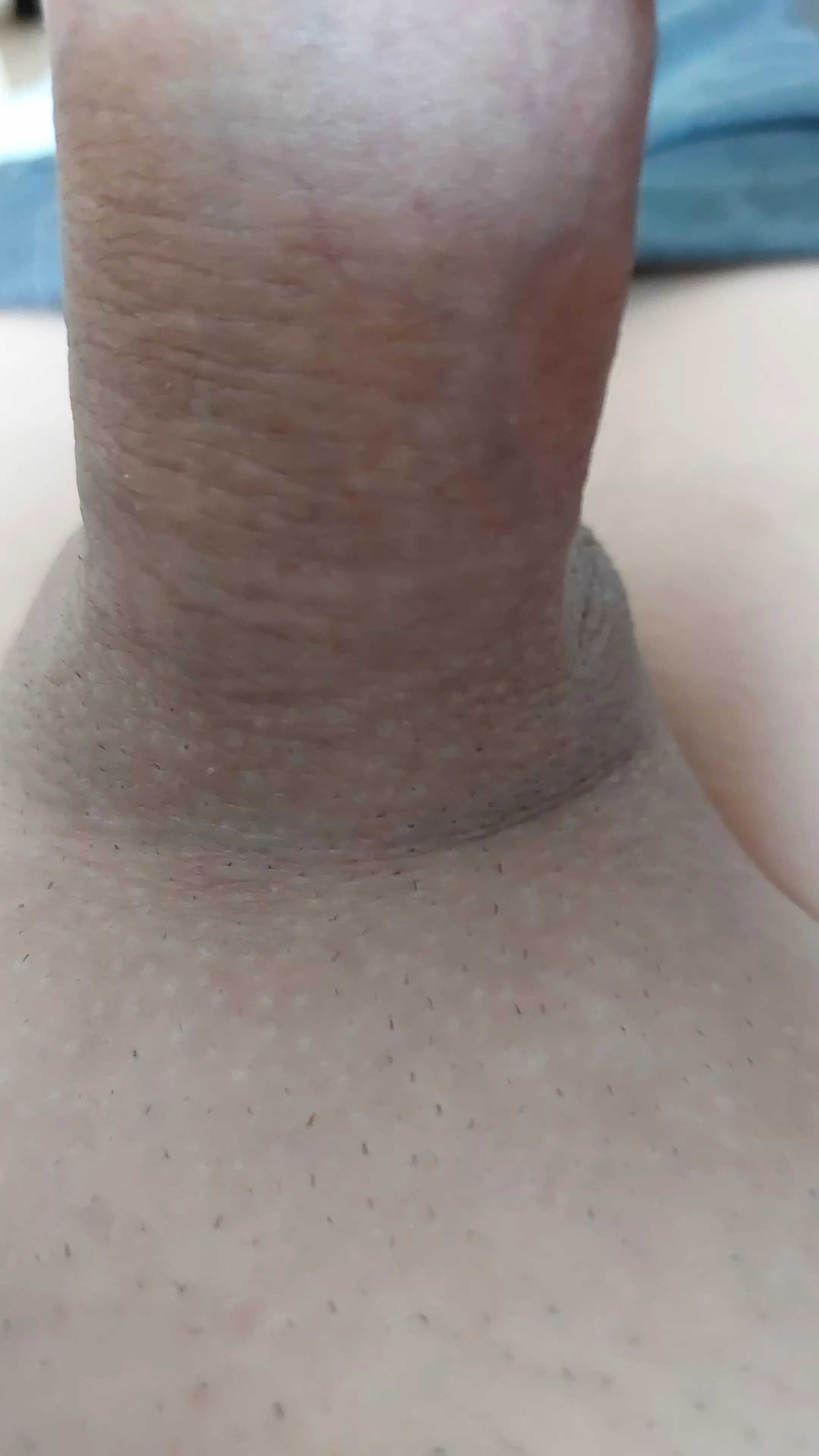 Do you like the Shaft