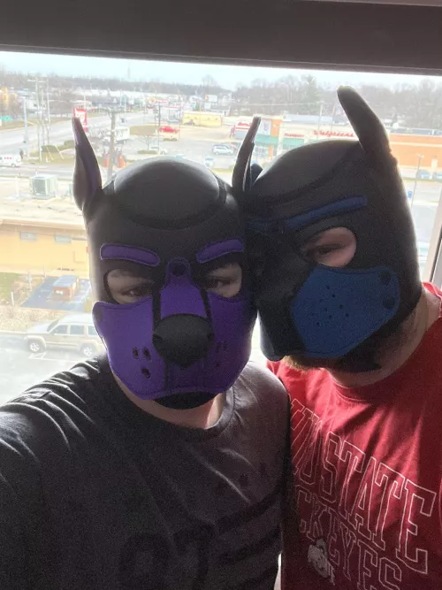 Enjoying the View with my Pup