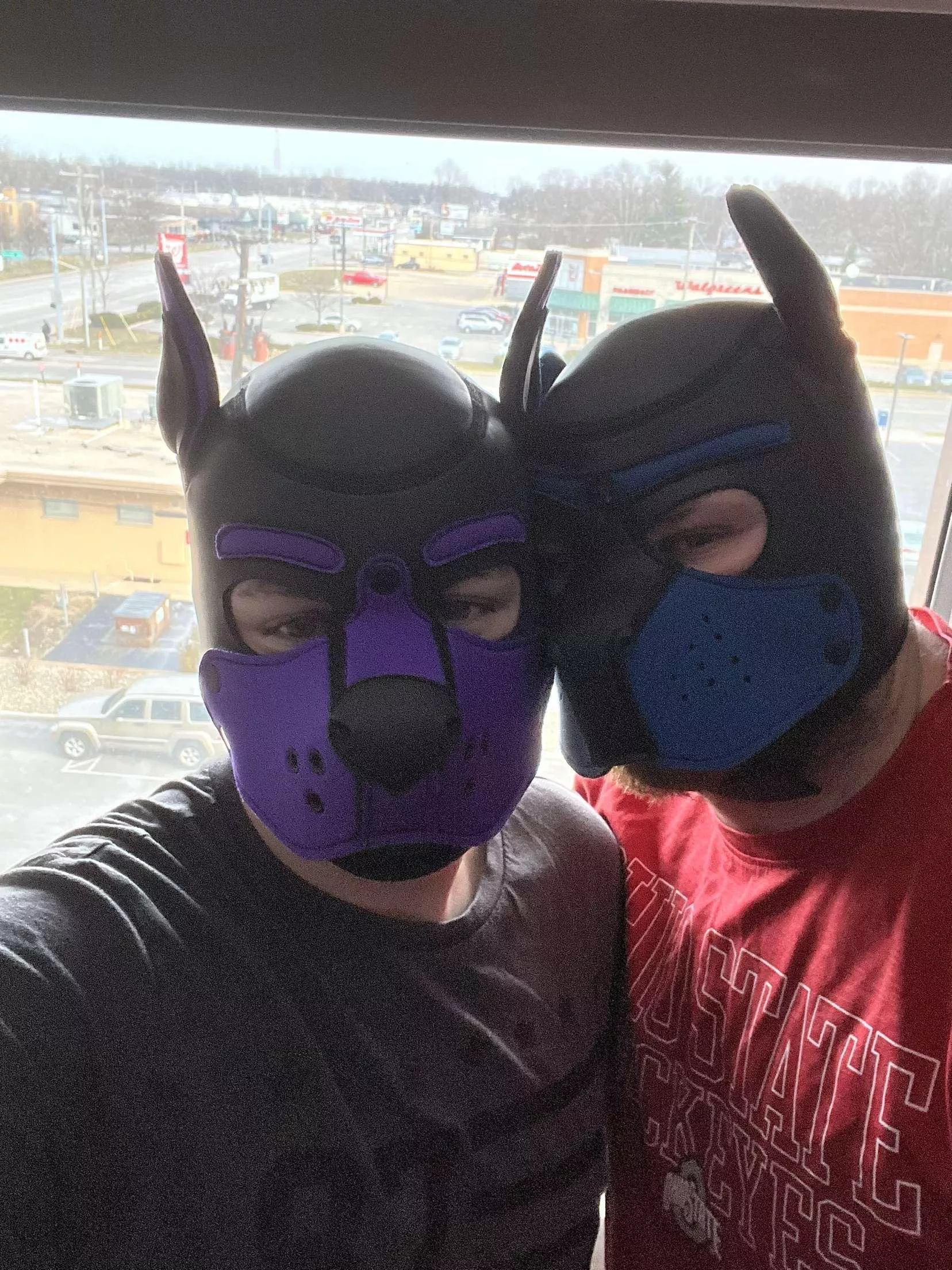 Enjoying the View with my Pup