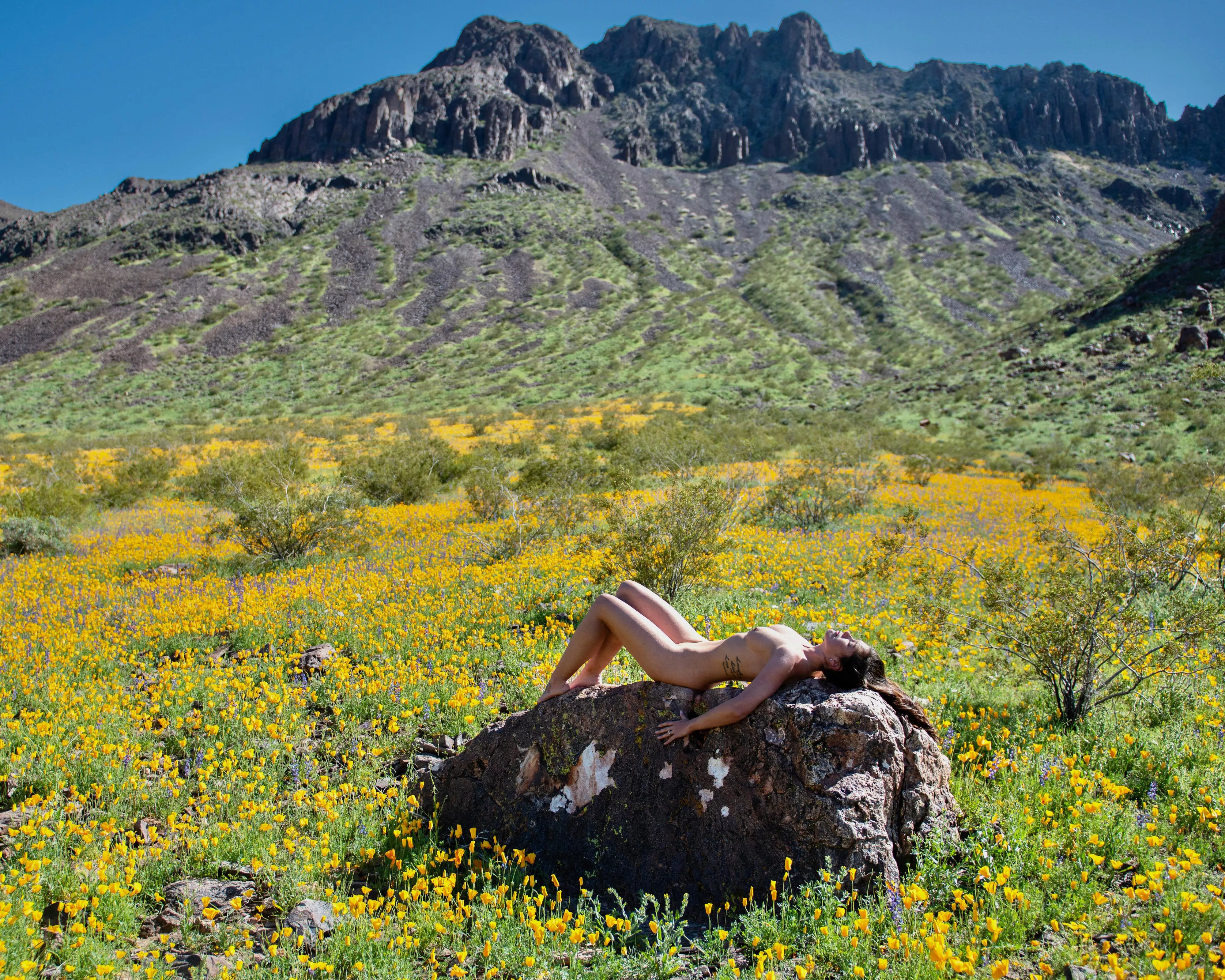 Got surprised by a group of four hikers that just sat and watched!