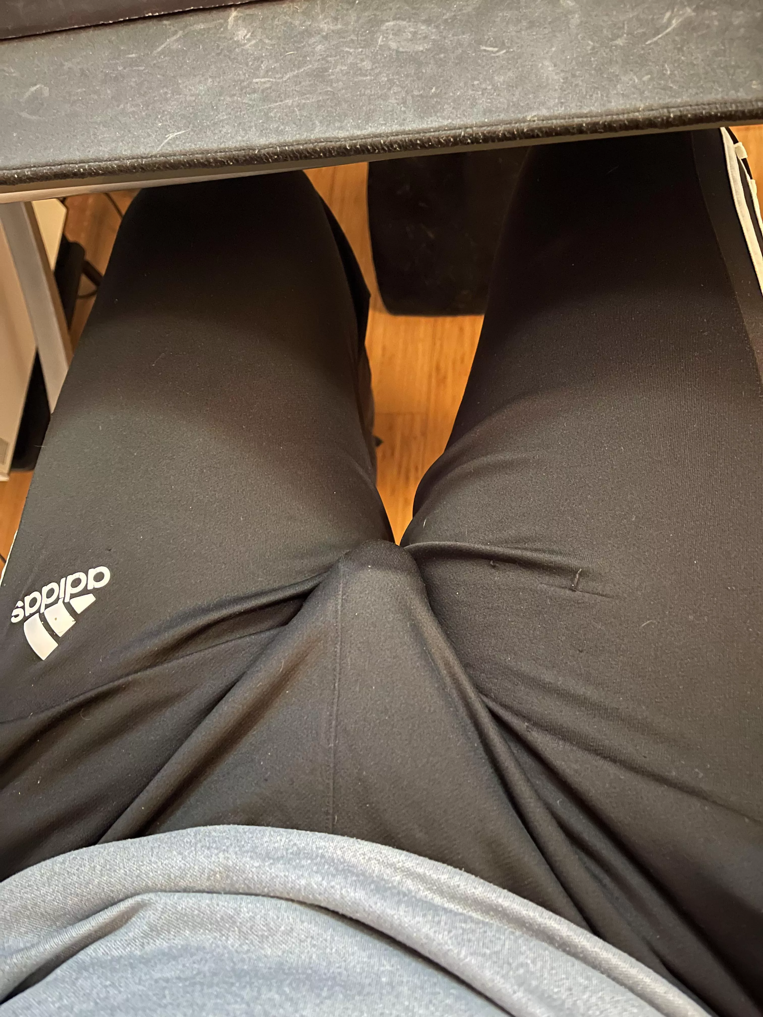 Hanging out at my desk