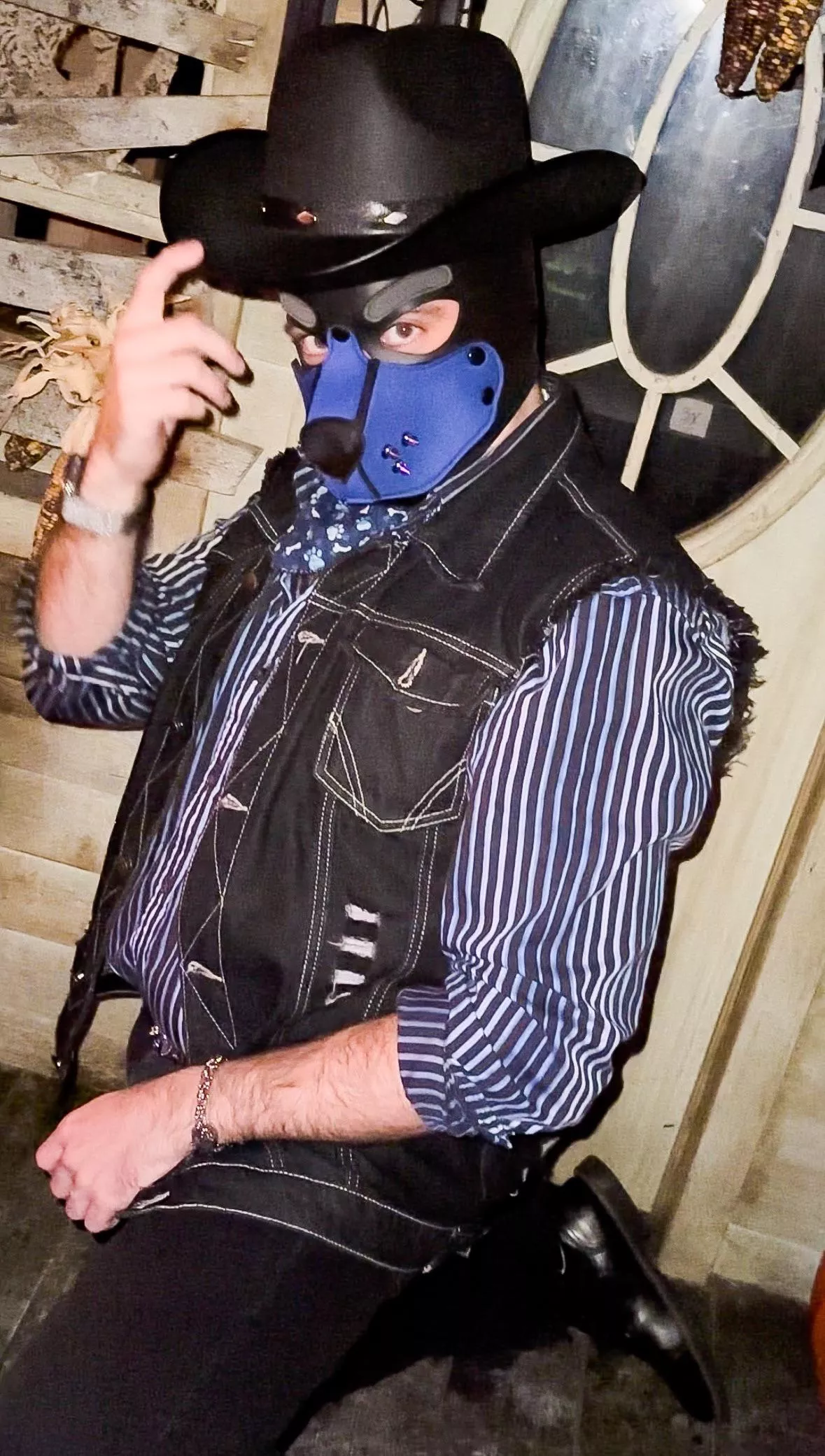 Howdy Pups…Get Along Little Doggies🤠🐮🐾🐺💙