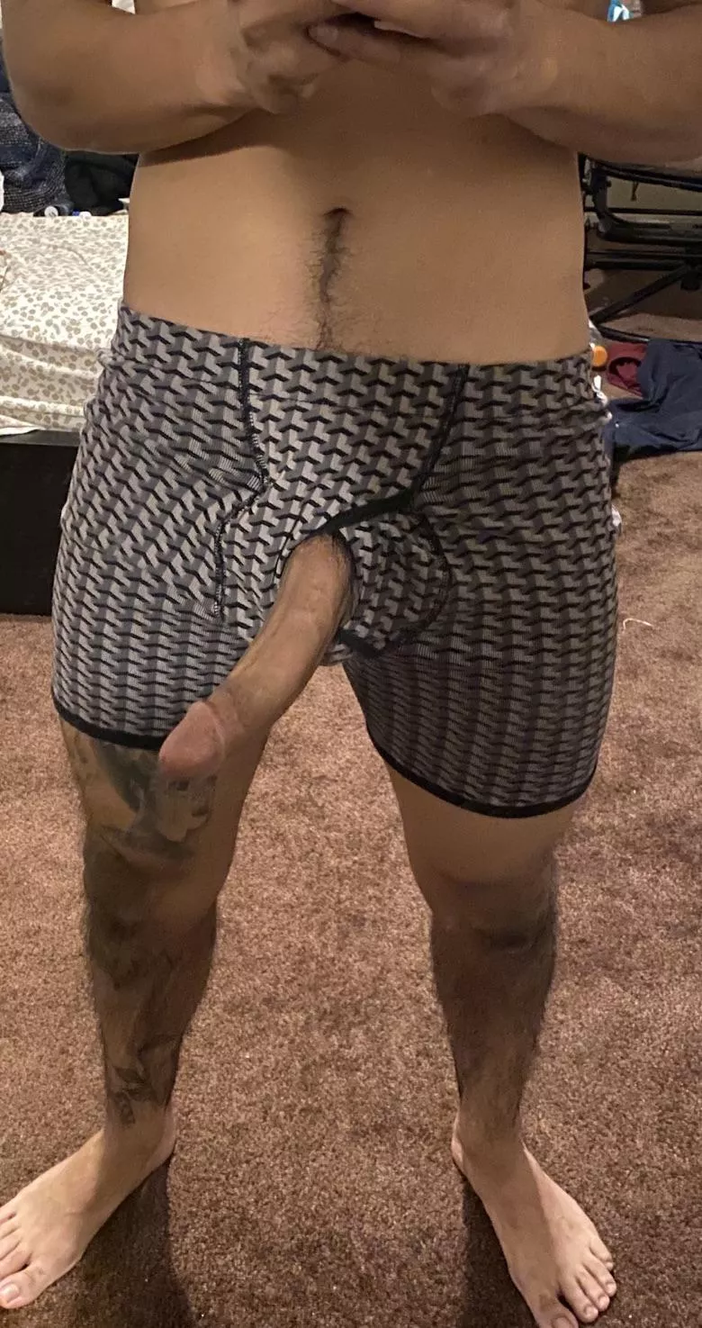 In case you forgot what a big cock looks like