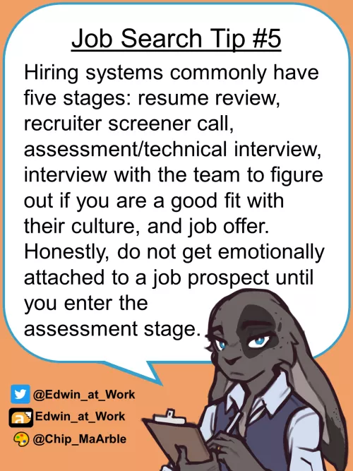 Job Search Tip 5: The Five Stages of Hiring. Edwin@Work, Job Coaching for Furries