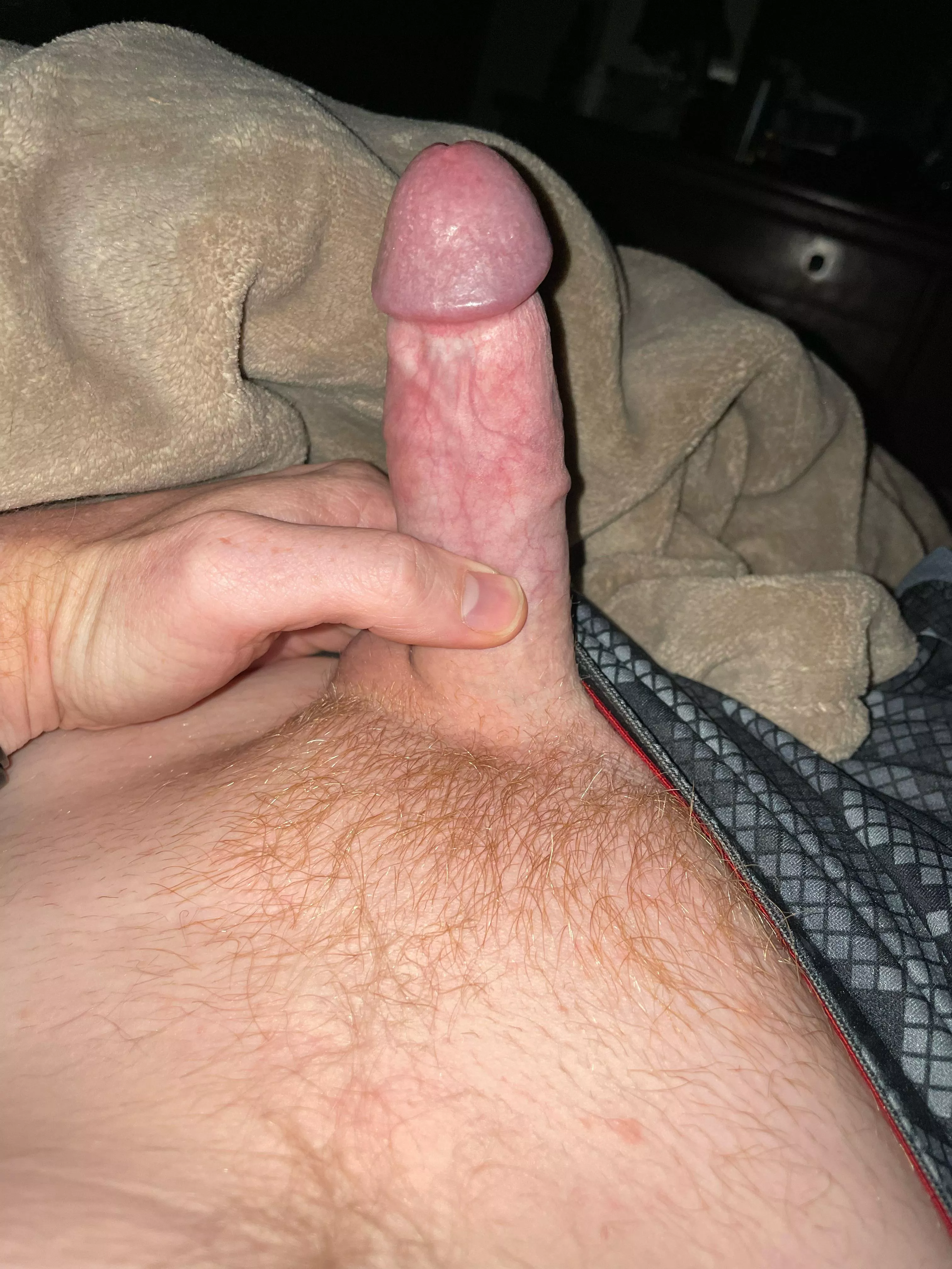 Late night can’t sleep. Help me get to bed