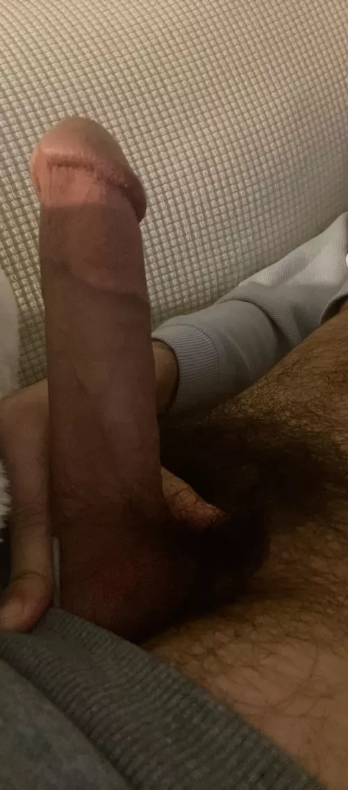 My cut Latino/Arab cock