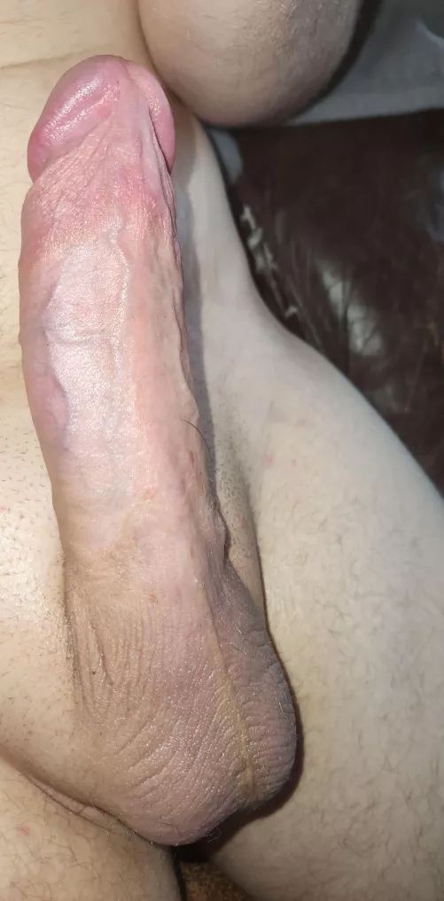need dick? (m)