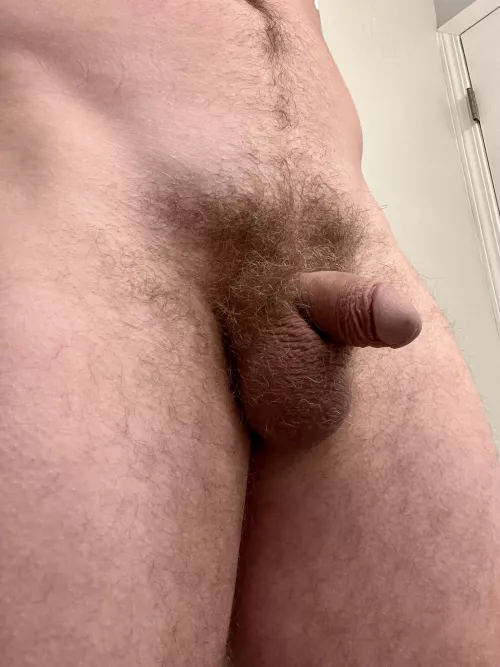 Softy standing (pointing) to attention