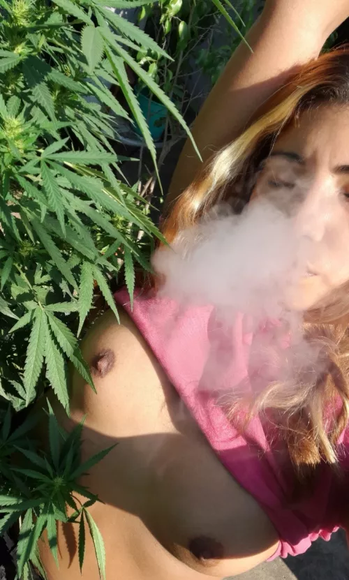 sun and weed good day to me 420🥵