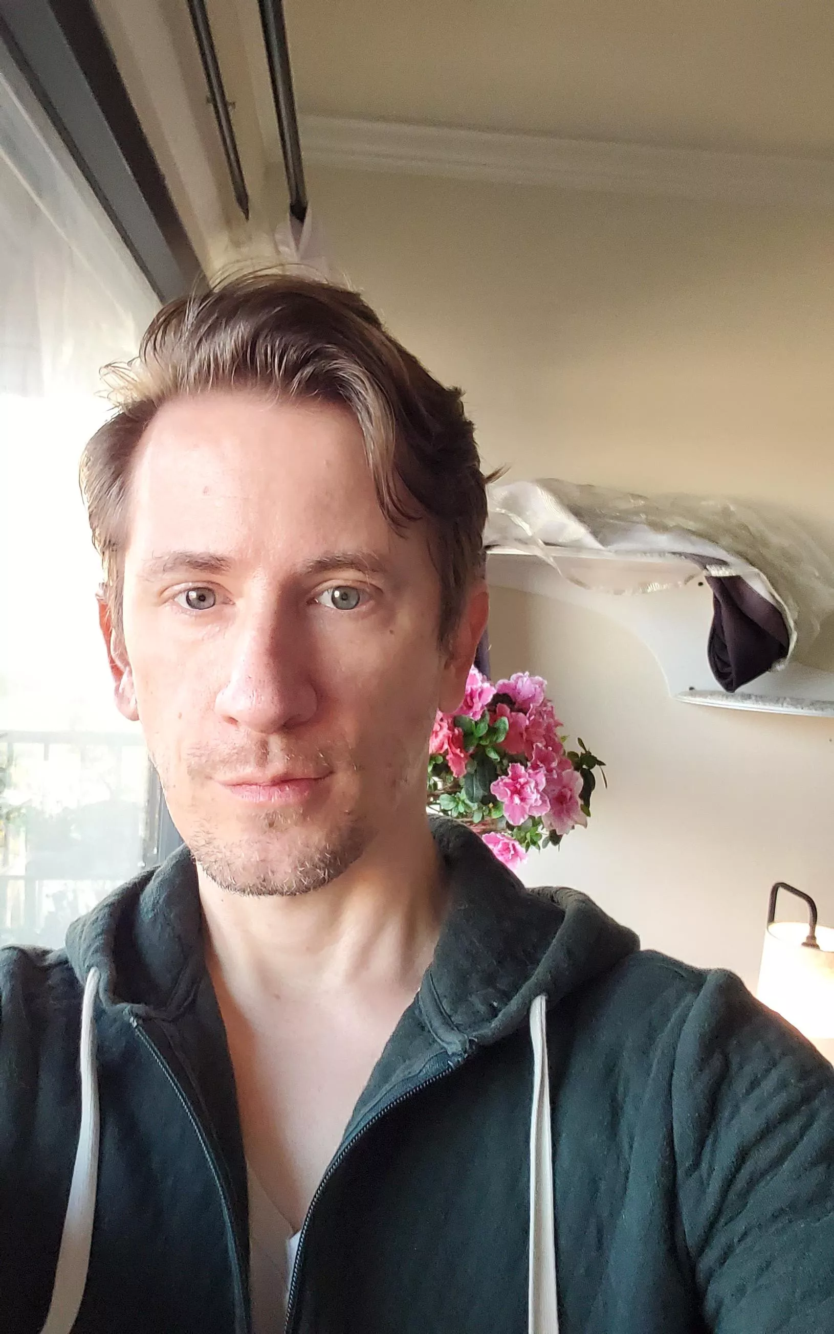 The azalias are looking very lush this morning.