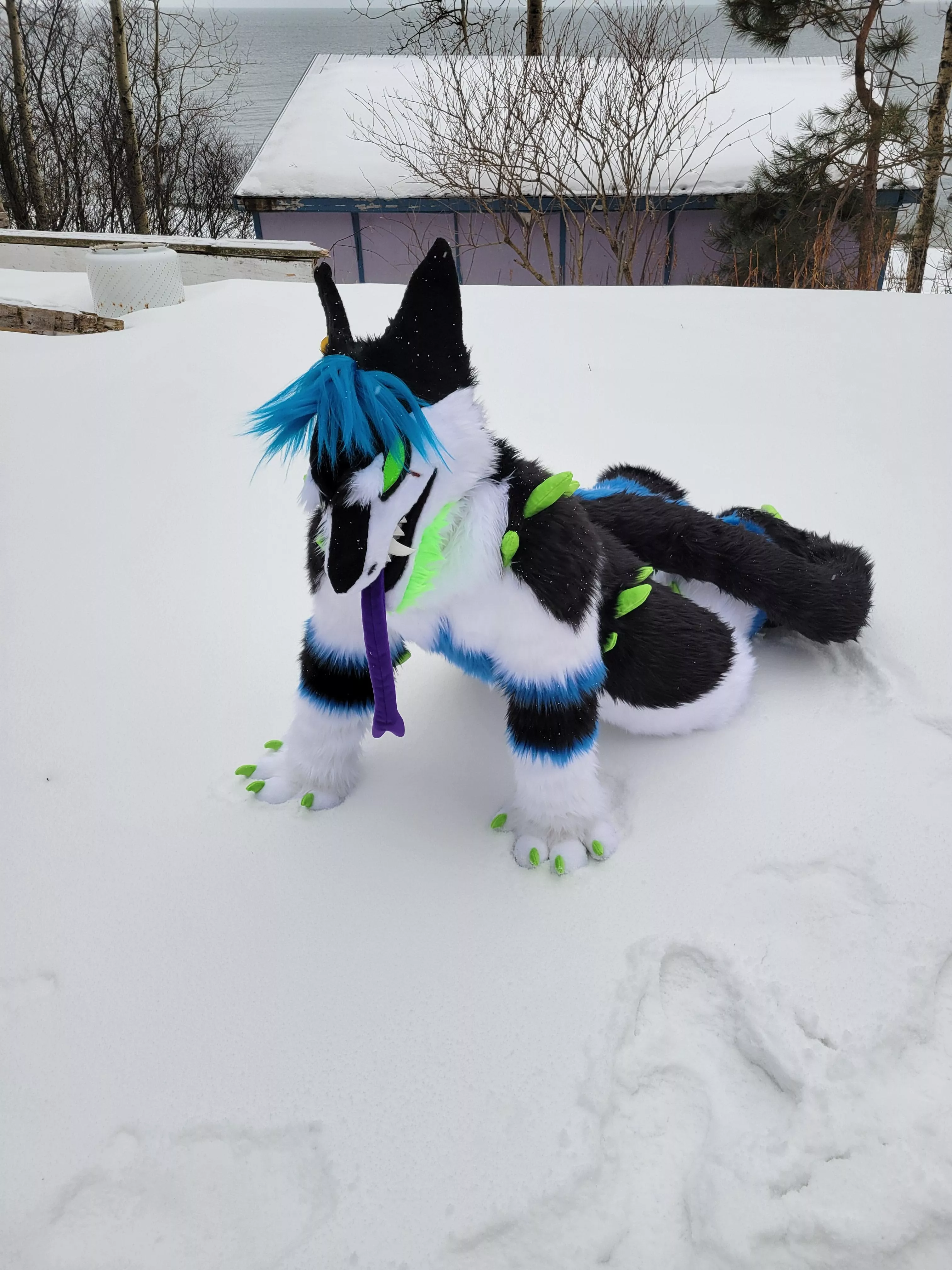 Wild WereSergal Going Feral