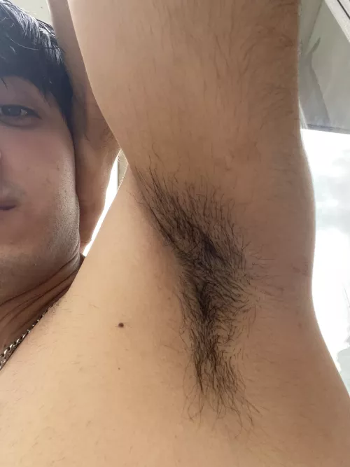 Would you like lick?