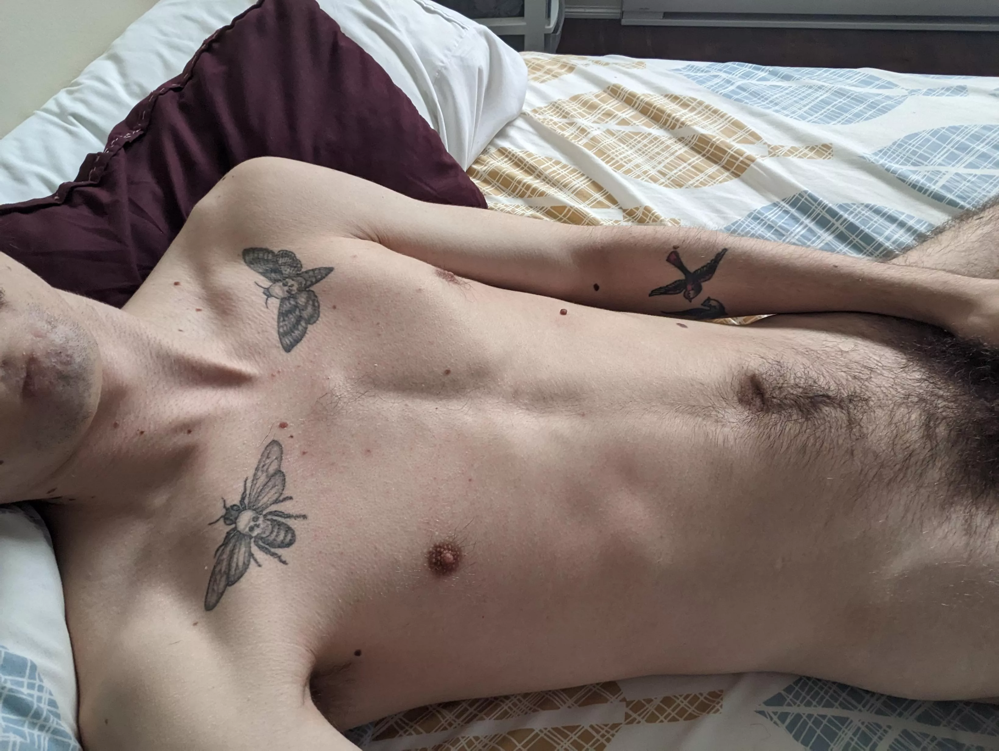 22 M top looking for fit/daddy to jerk with, muscle+++ chest hair++ @chrisanthemum7