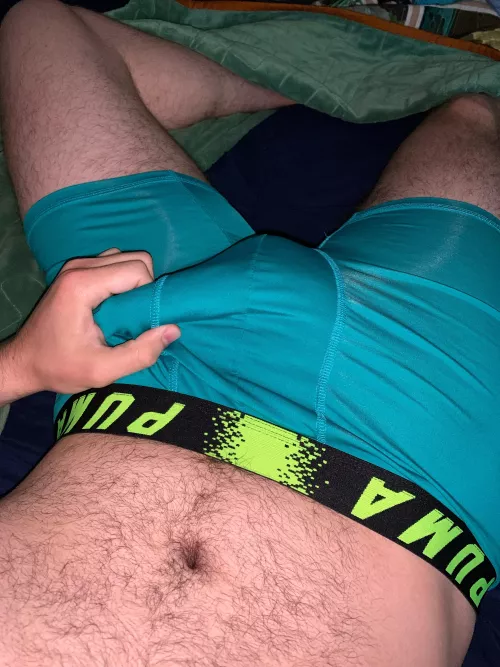 26 anyone want this morning wood?