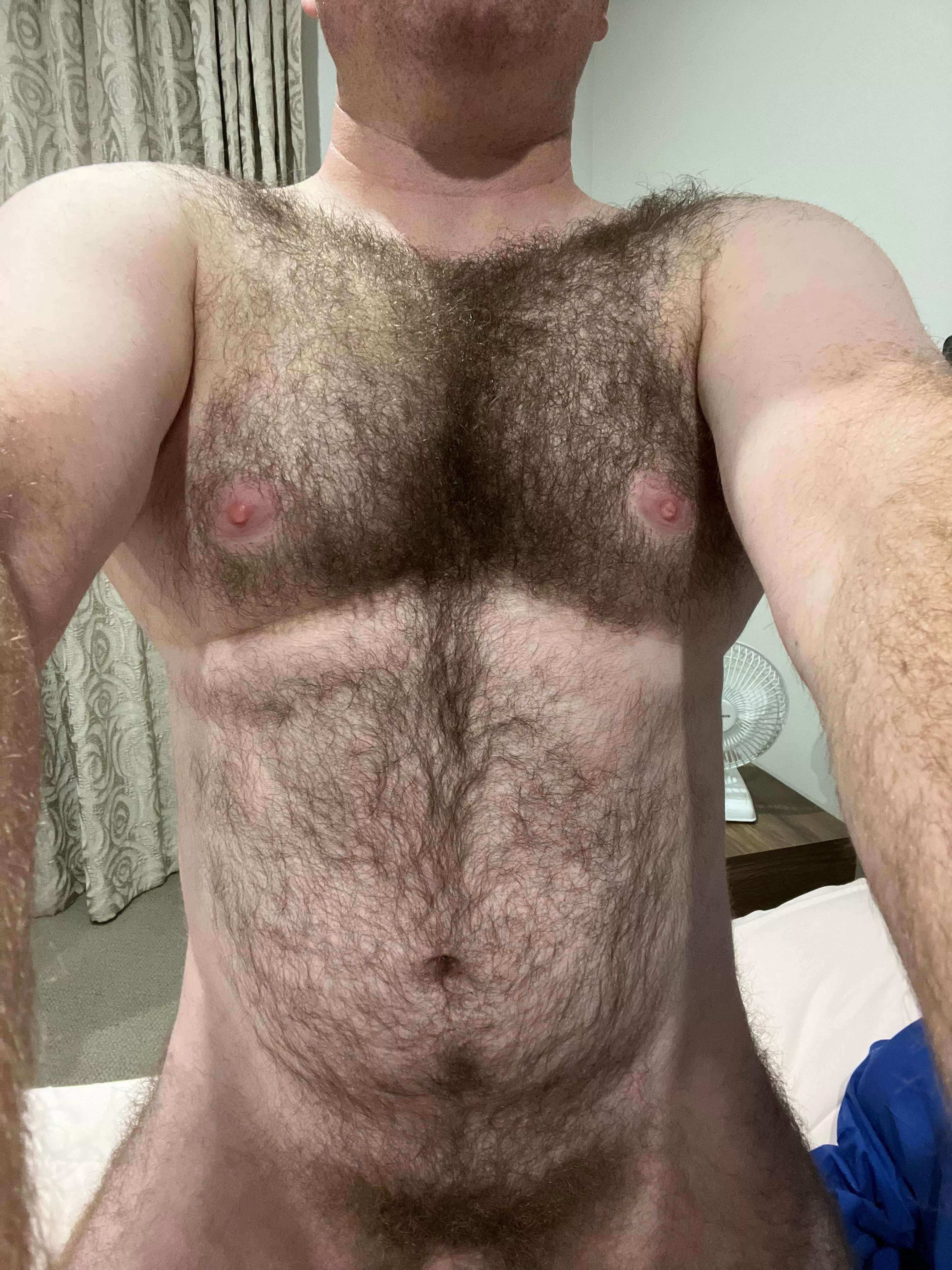35 uncut hairy dm sc