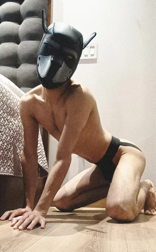 a pup being a pup :3