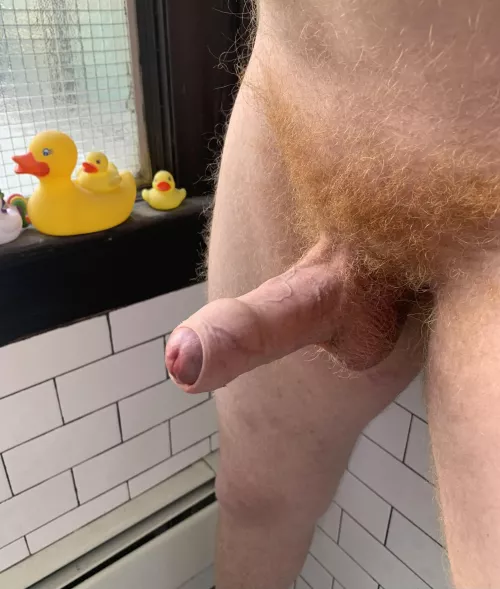 Come for the ducks, stay for the suck