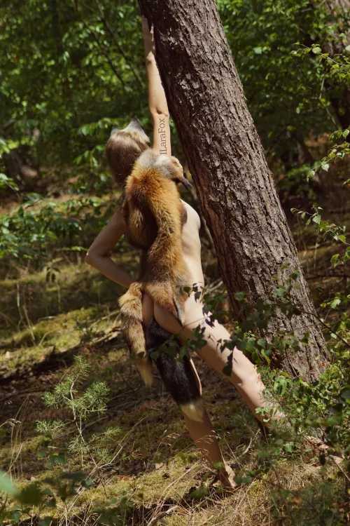 Did somebody lost there pet outside?