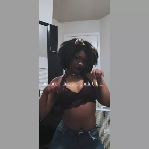 Feel me up cutie, promise I don't scratch..too much 😻🧸🐾