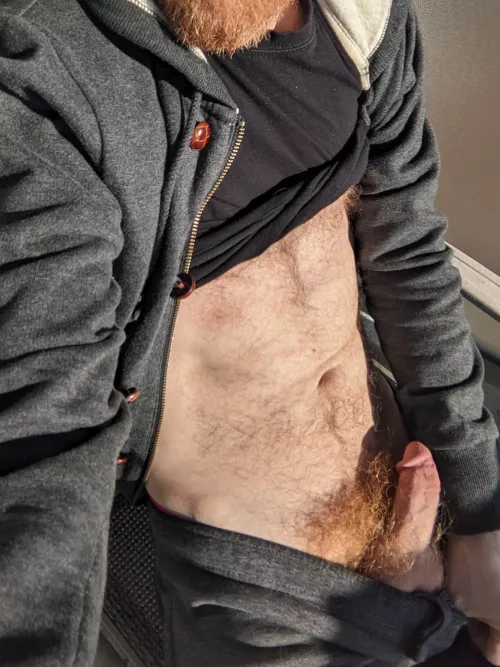 Gotta give my ginger bush some sun