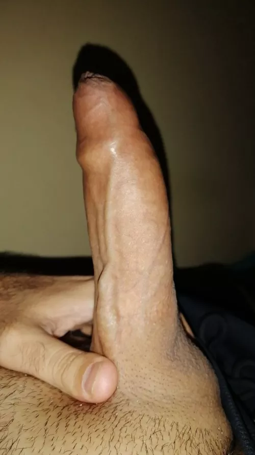 Hard and Veiny