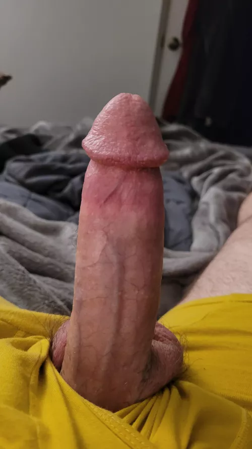 Hope you like my cock tonight