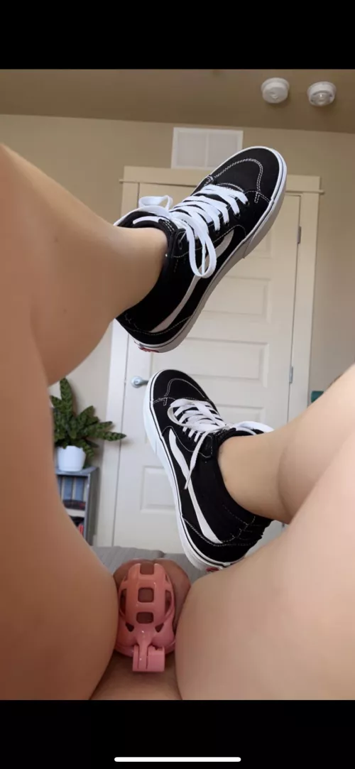 I love how cute it is