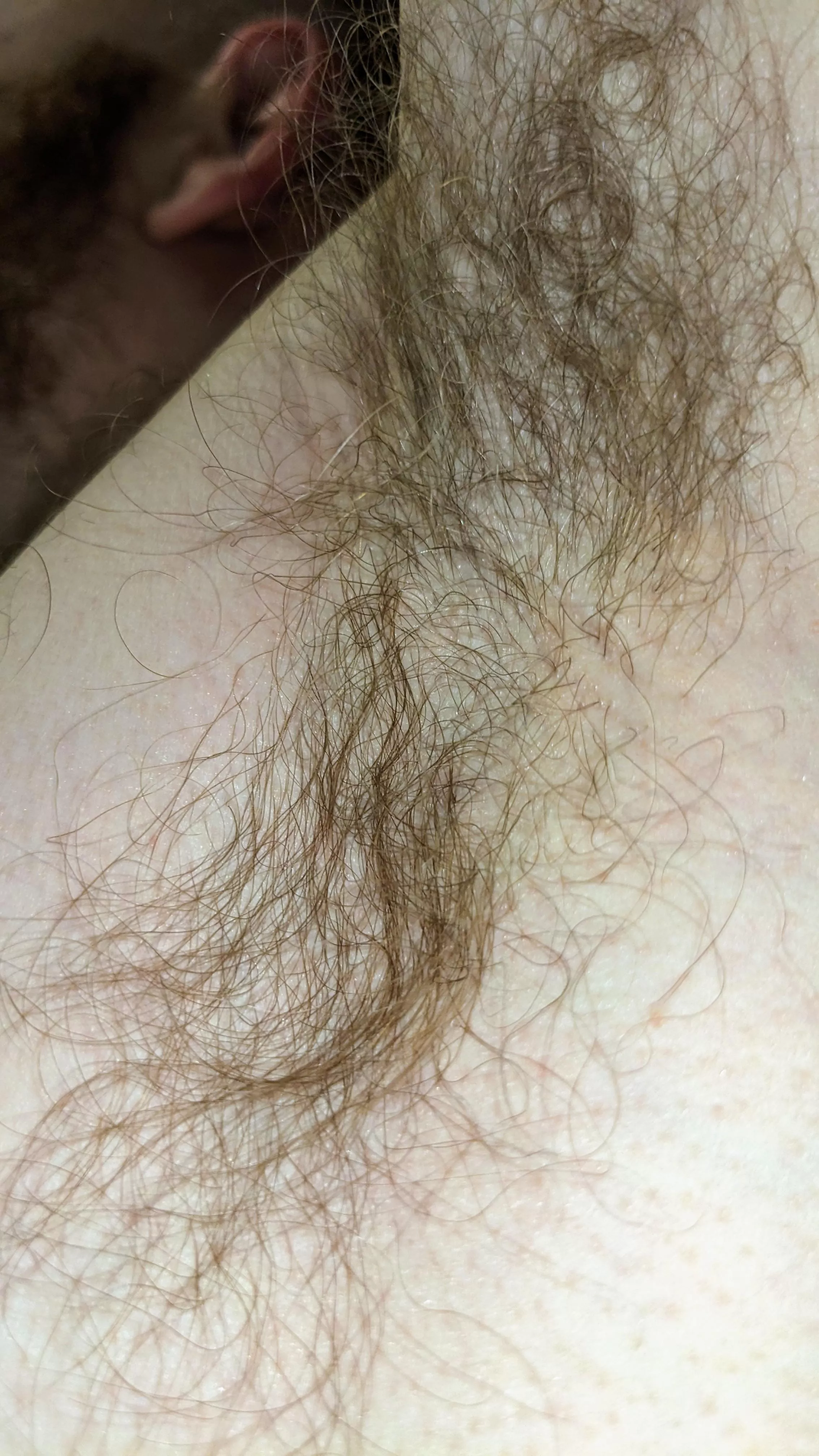 If you can't see each strand of hair, you're not close enough