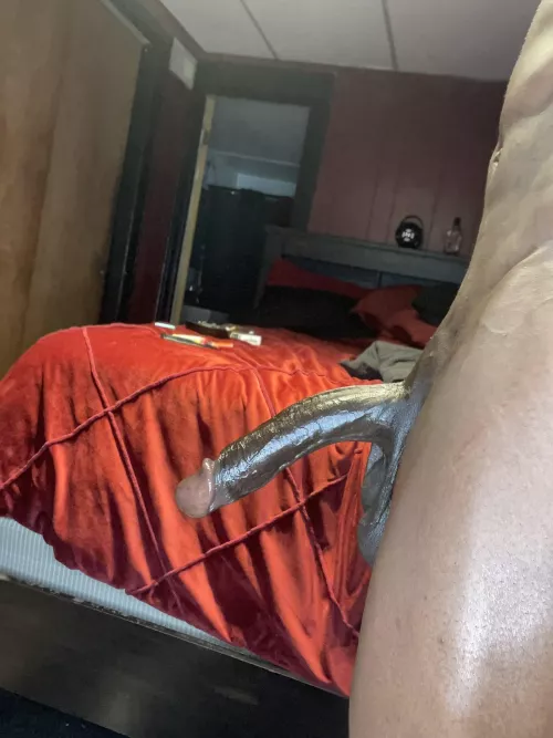 I'm looking for a snow bunny to breed. 😈