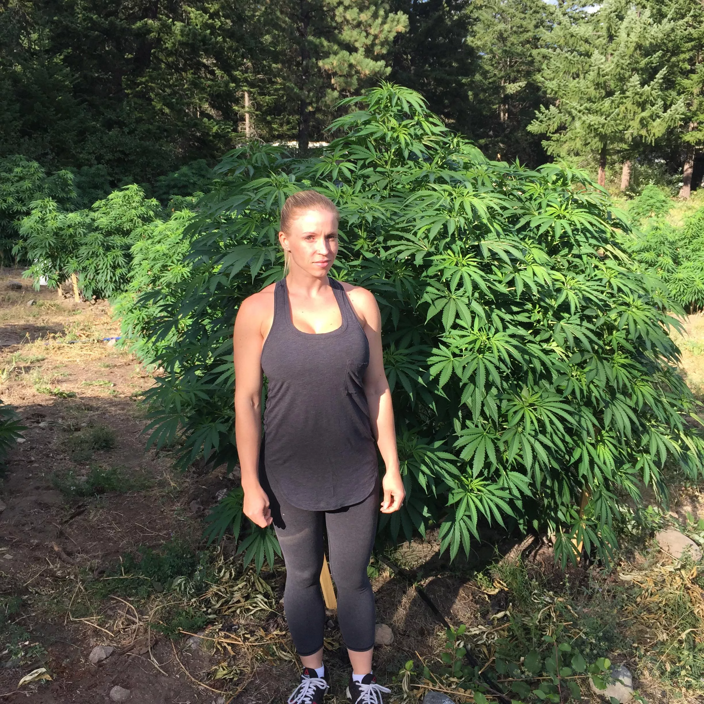 Just want to show you my trees…