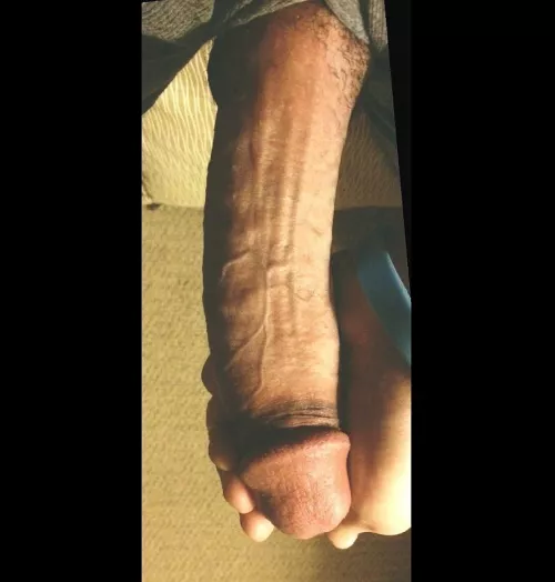 Just wanted your thoughts on my unit.