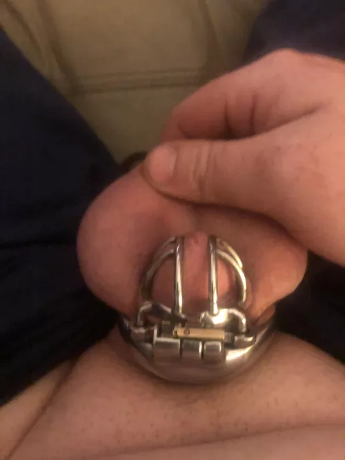 Locked until I lose 50lbs. Wife and I agreed on a kinky weight loss plan. Until I lose the goal weight, the only relief I get Is when I have two consecutive days of 30 min’s of cardio I can get a caged orgasm. So far I’m 6 days in and 5 lbs down and 