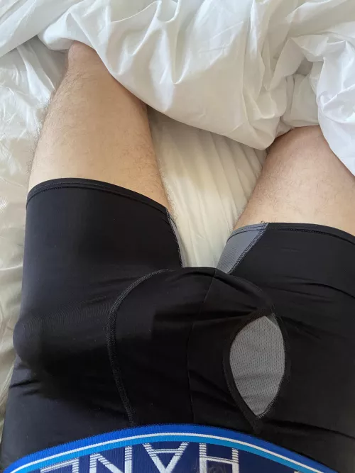 Morning wood in the Heartbreak Hotel