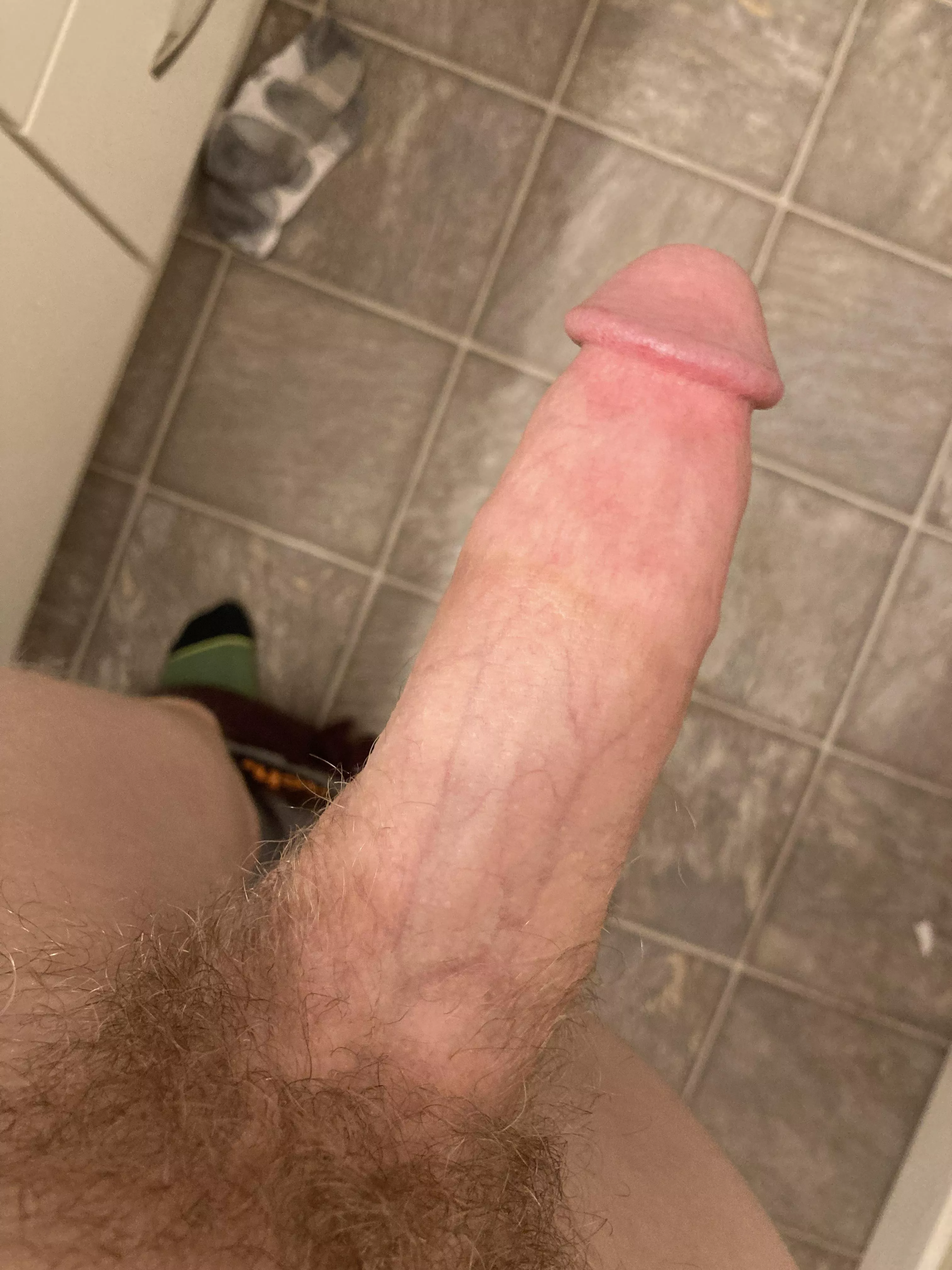My 7.5 inch cock will always have a place here